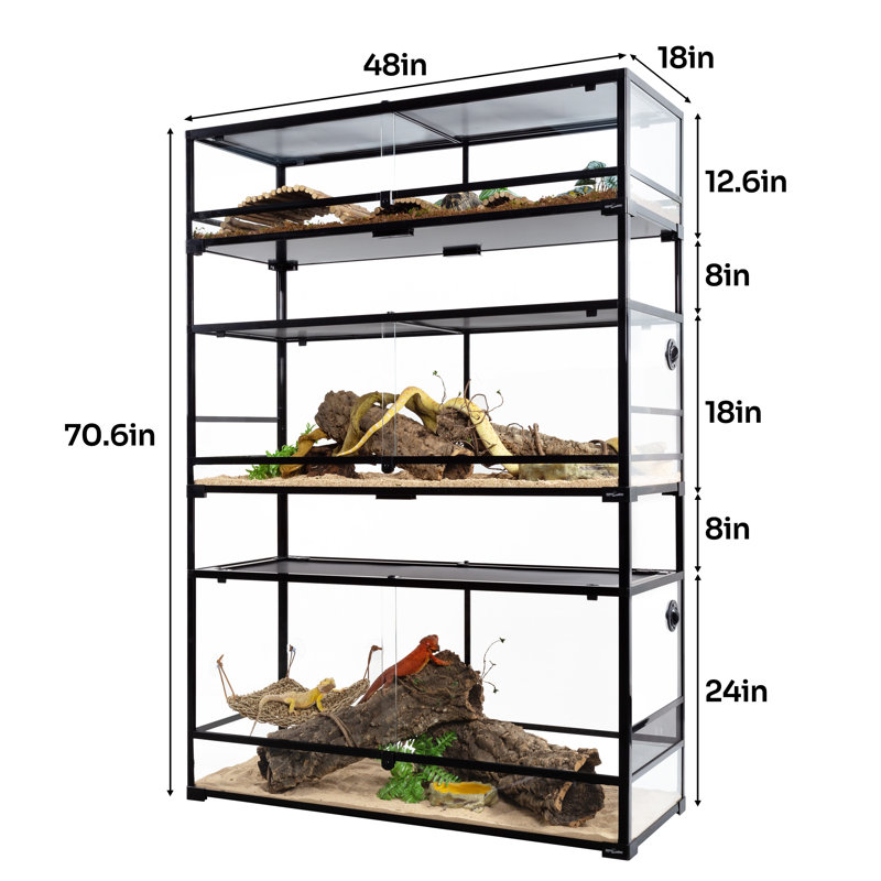 Reptile Starter Kit