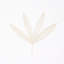 Rue Wallpaper-73751336