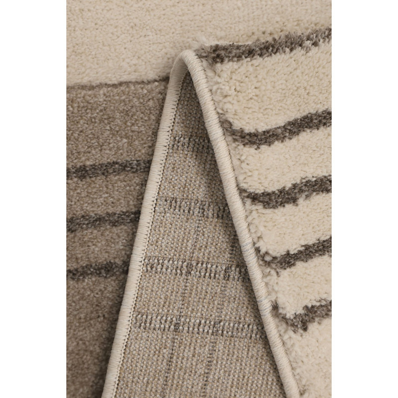 Tajmere Oriental Area Rug, Rectangle 120 x 170cm