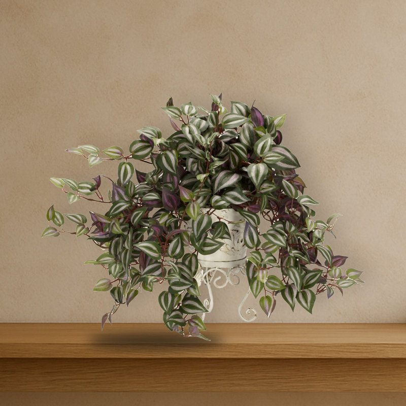 Wandering Jew Silk Plant with Metal Planter