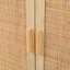 Alisabeth Accent Cabinet