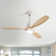 52" Nicola 3 - Blade LED Propeller Ceiling Fan with Remote Control and Light Kit Included