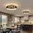 20" Caged Ceiling Fan With Light Flush Mount Low Profile Fabric Farmhouse Bladeless Ceiling fan With Remote Control,Modern Enclosed Ceiling Fans with Remote APP Control Quiet DC Motor Timer, Black Brushed Modern Industrial, For Bedroom-2069522879