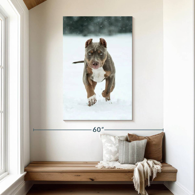 Brampt Pit Bull On Snow, 48" H x 32" W