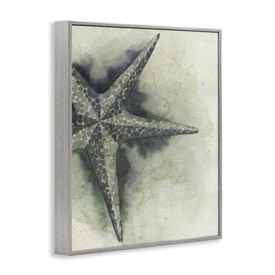 Complex Grey Starfish Giclee Art by Grace Popp