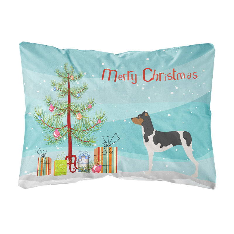  Coussin brésilien brésilien intérieur / extérieur