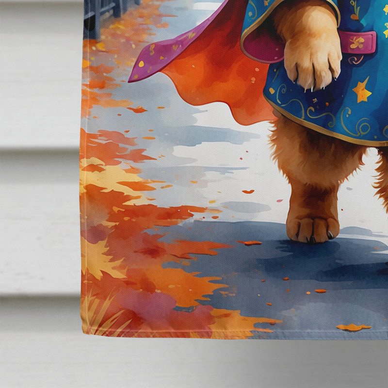 Drapeau de maison Weimaraner, Chow-chow