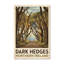 Dark Hedges, Northern Ireland - Enchanted Tree Tunnel Travel Poster. Giclee Print on Wrapped Canvas. Wall Art, Home Decor - Natural Landmarks, Northern Ireland 1 Piece Wrapped Canvas Wall Art-1039410638