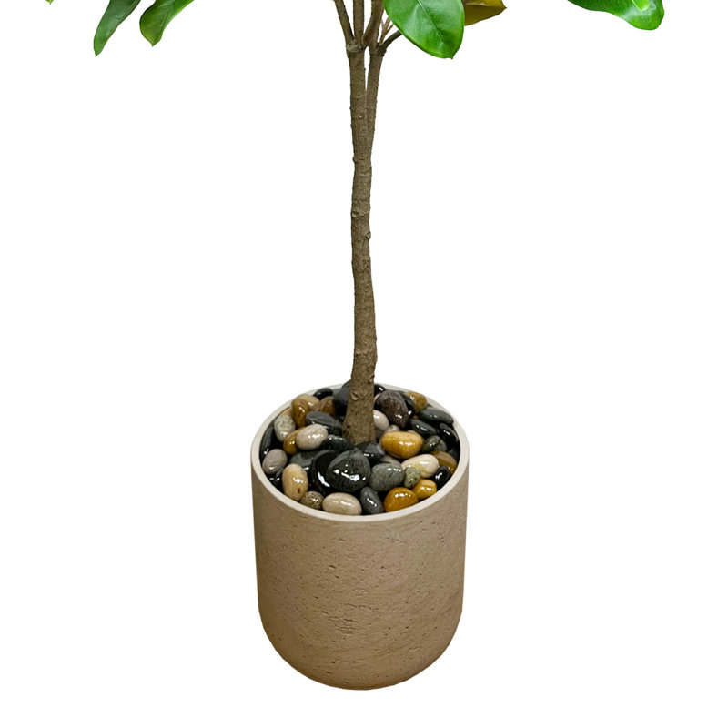 Faux Magnolia Tree in Fiberstone Planter