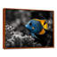 «Blue Aquariums Oceanic Oasis Fish I», reproduction d'art mural aquariums-259785127-19661491