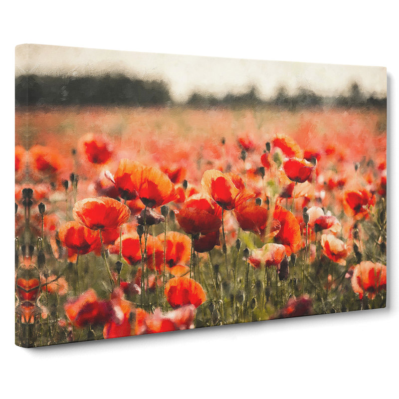 Field Of Poppies Vol.1 - Wrapped Canvas, 35cm H x 50cm W x 3cm D