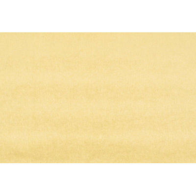 Essential Velvets Glamour Fabric