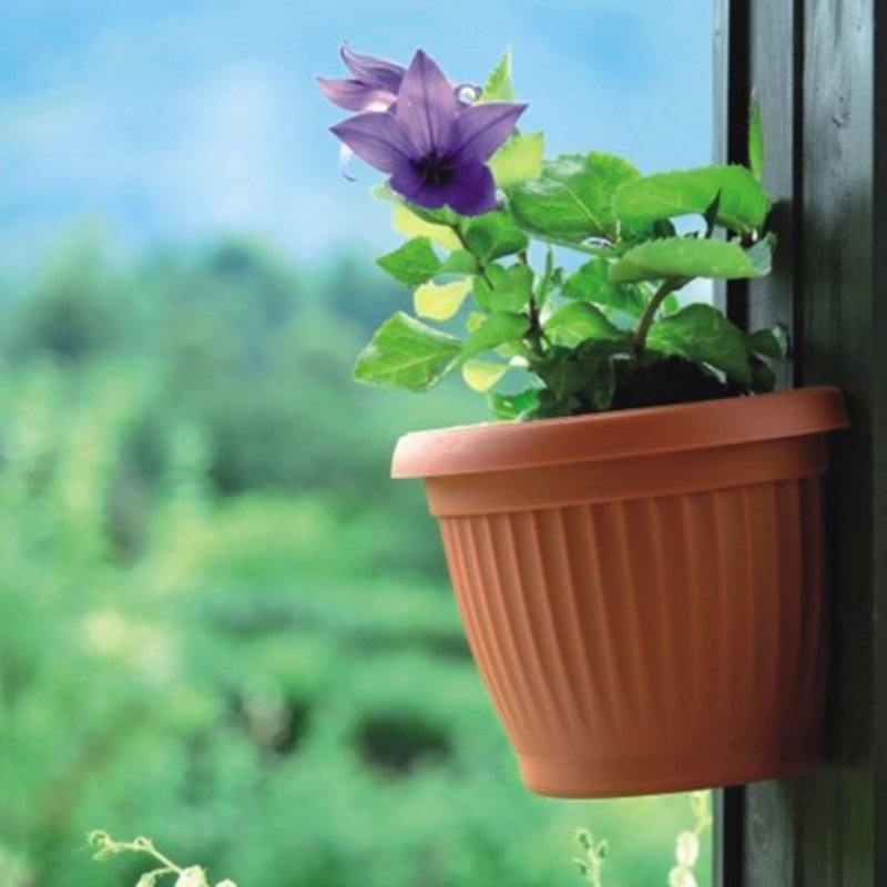Johnstone Wall Planter, 16 cm H x 22 cm W x 22 cm D