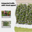 Garden Planter Plastic Resin Planters-79867539-79867543