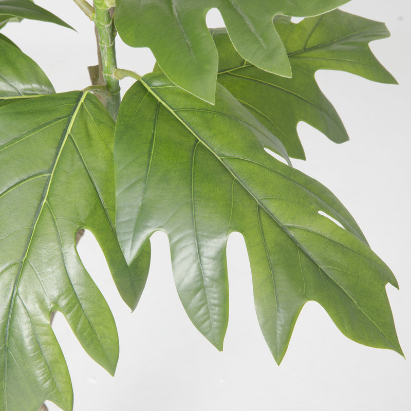 80'' Faux Fiddle Tree Tree in Pot