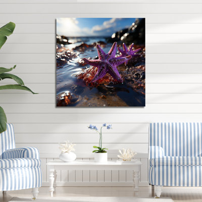 Beachside Coral Starfish Photo 3 - Beach Wall Art