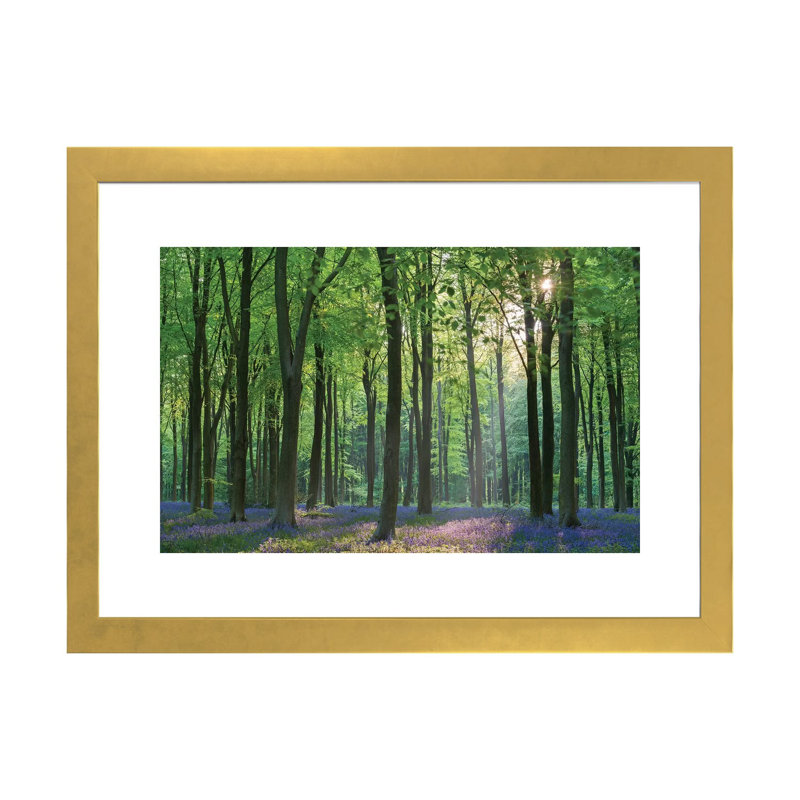 «Bluebell Forest II» par Adam Burton - reproduction de photo, H 24 po x l 32 po x P 1 po, Papier encadré doré