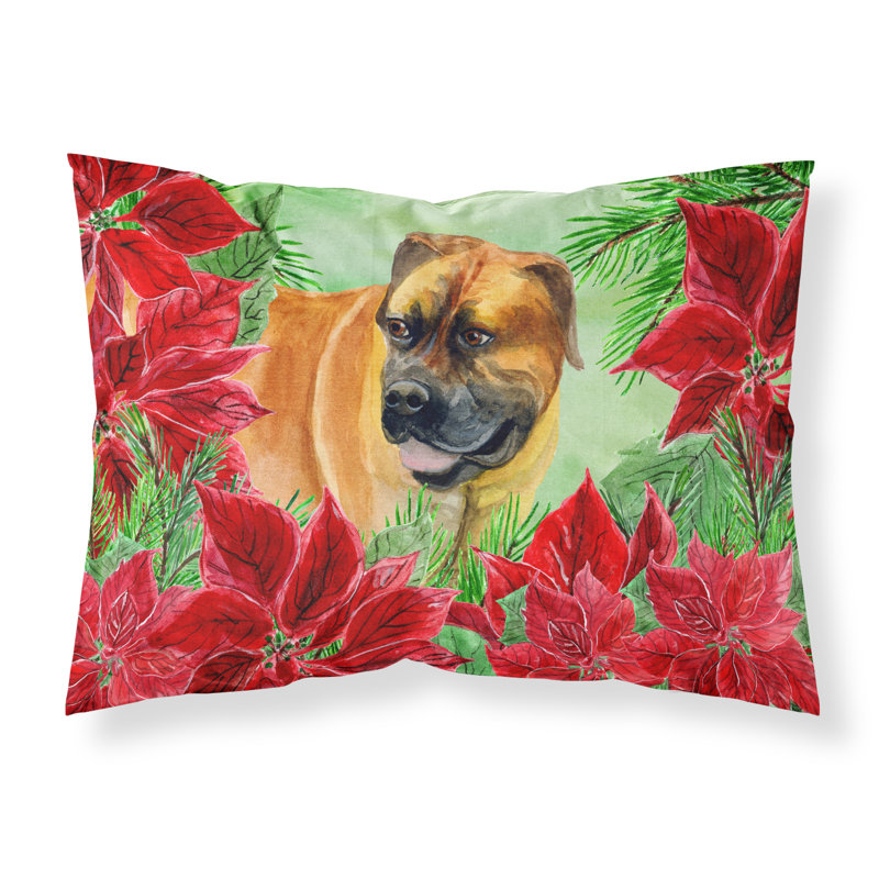 Microfiber, Boerboel Mastiff