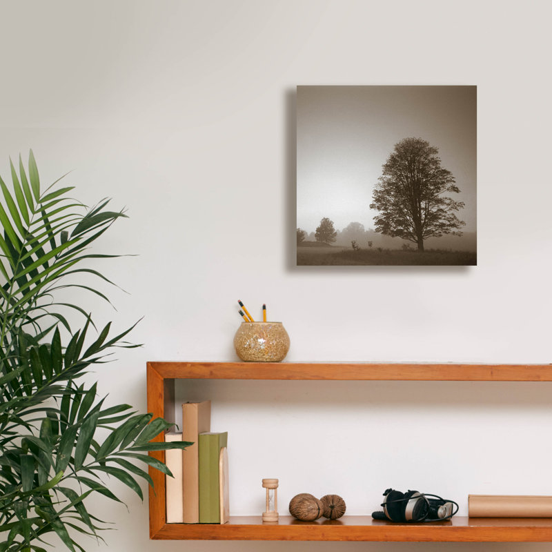 «Stillness» par PhotoINC Studio, H 12 po x l 12 po x P 0,75 po