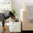 Tucker Murphy Pet™ Fabric Bin-1704130187