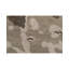 Abstract Area Rug
