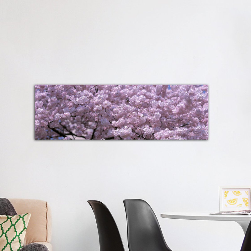 Panoramique washington, d. c, fermeture de cerises, reproduction de photo sur toile, H 20 po x l 60 po x P 1,5 po