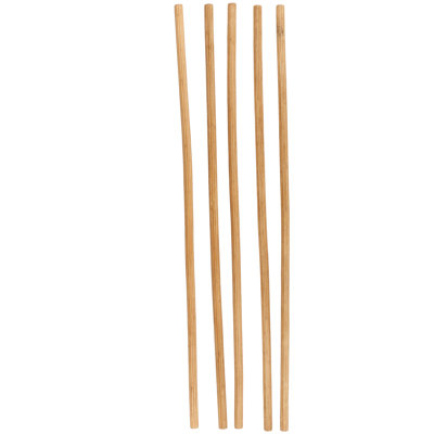 Ensemble de feuillage naturel brun en bambou