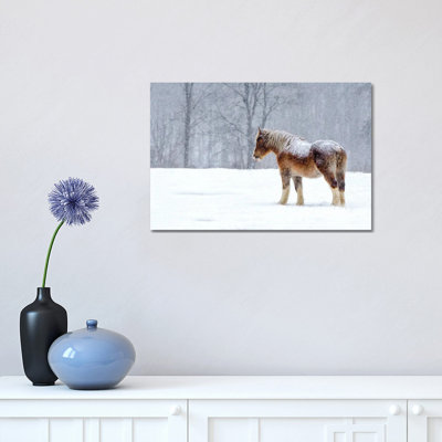 Stoic 1 Piece Wrapped Canvas Wall Art