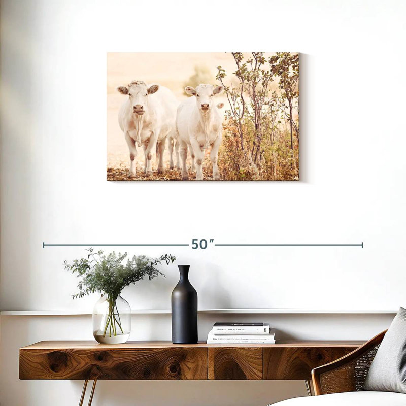 Charolais Cows, 20" H x 30" W