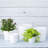 Karstin Pot Planter-1344211473