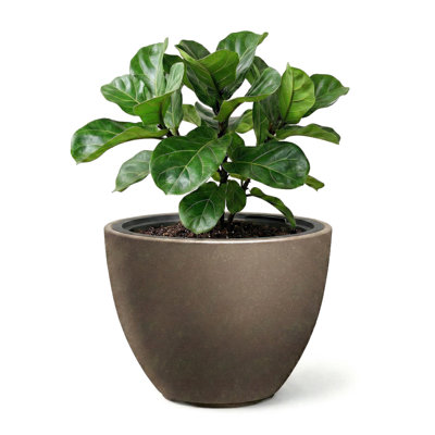 Pot Planter