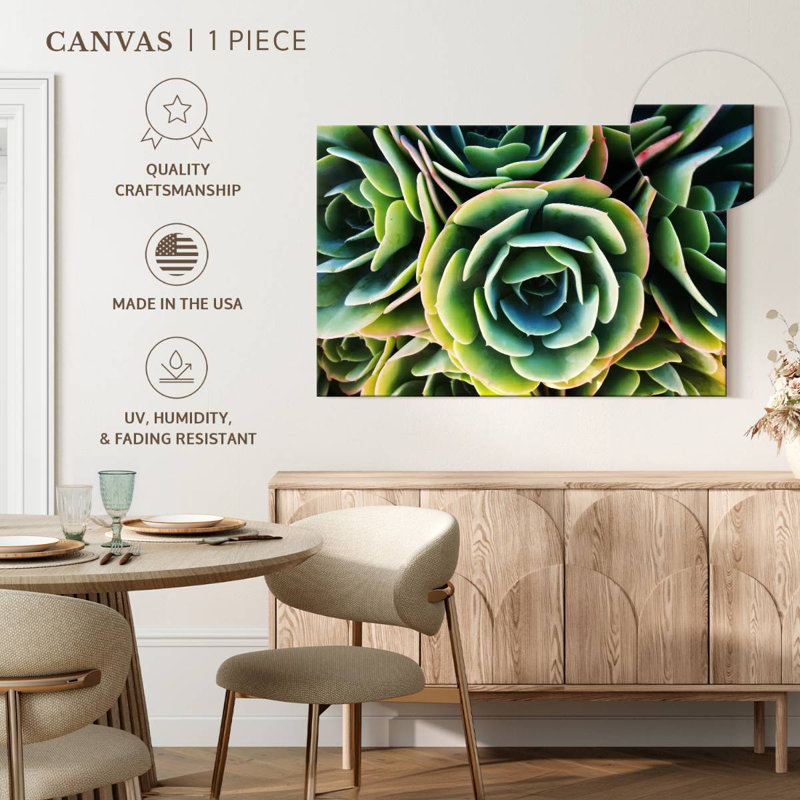Rose succulente Harnek, H 26 po x l 39 po