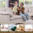 6 - Piece Modular Oversized Reversible Corner Sectional Sofa Cloud Couch-140416317