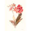 «Autumn Orchid II» par Danhui Nai, peinture sur toile tendue-633171273-633171277-667592544