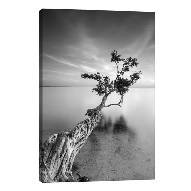 Water Tree V by Moises Levy - Wrapped Canvas Print, 66.04 cm H x 45.72 cm W x 1.91 cm D