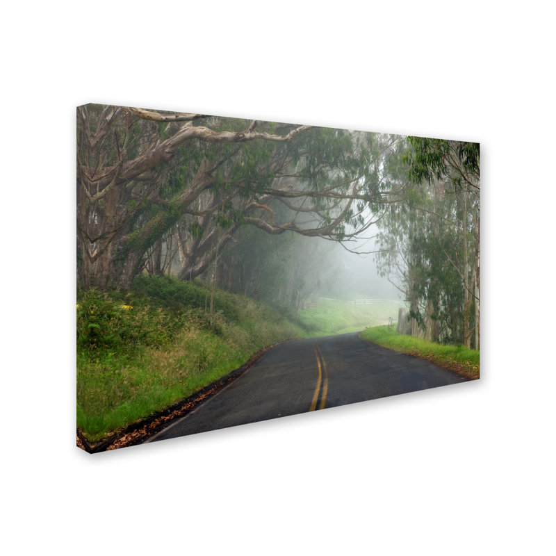 Foggy Road Landscape Canvas Print with Wooden Frame
