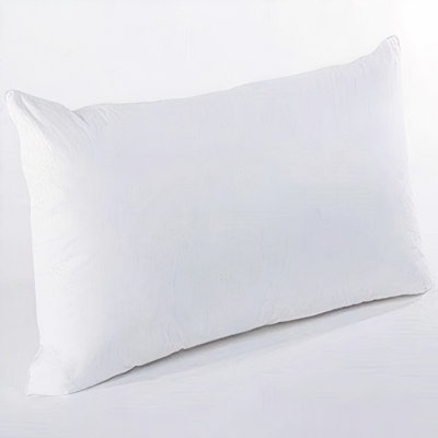 Capel Rectangular Throw Cushion Pad