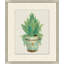 Aloe Pot 5 Print