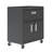Fortress 31.5" H x 30" W x 18" D Modern Mobile Metal Garage Storage Cabinet in Charcoal Gray-48440045
