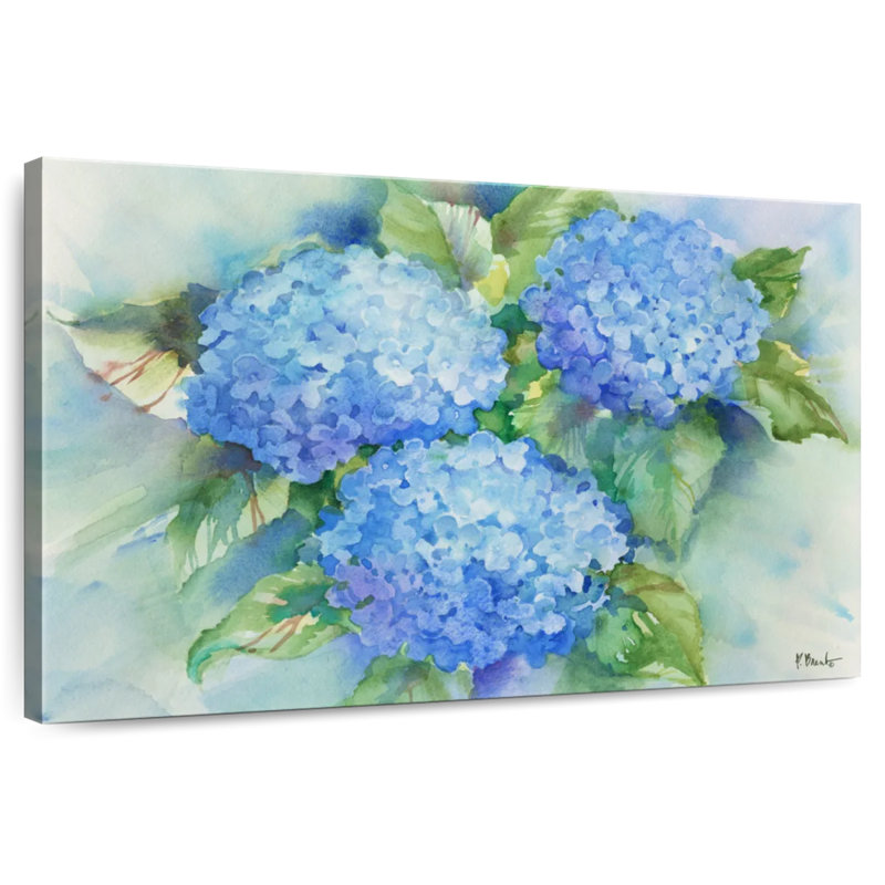 Hortensias bleu ciel Harnek, H 30 po x l 45 po