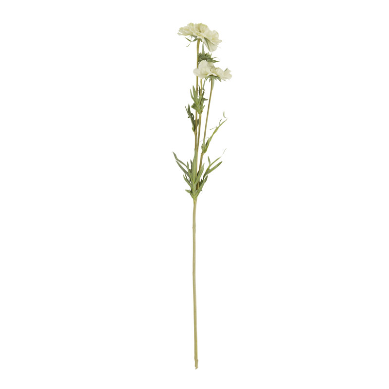 Cerfeuil vaporisateur floral (ensemble de 12)