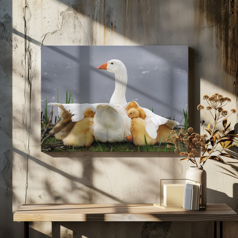 Wrapped Canvas Print, 76.2 cm H x 50.8 cm W