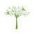 Vert lime