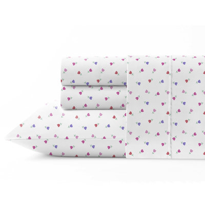 Ensemble de draps en percale de coton 3 pièces Pointehaven Petite