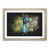Oak Framed selected