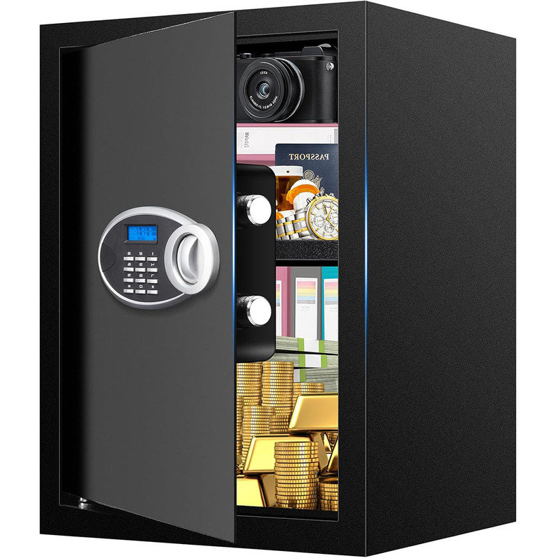 Digital Personal Security Safe Box with Programmable Keypad and Spare Keys, Fireproof Document Safe for Home Uses, Black