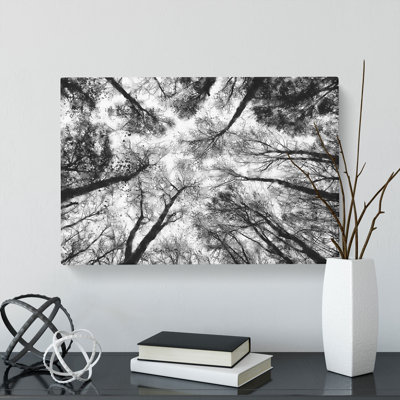 Vaulted Tree Branches - Wrapped Canvas