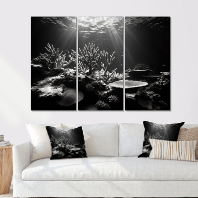 Photo corail noir et blanc sous l'eau I - Ensemble d'art mural corail sous l'eau