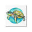 Tortue marine, art de la giclée par Sebastian Grafmann-2092441665-2092441692