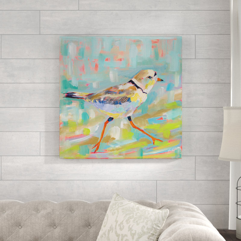 Coastal Plover I by Jeanette Vertentes - Wrapped Canvas Painting, 76cm H x 76cm W